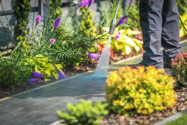 Best Dumpster Area Cleaning  in Piru, CA
